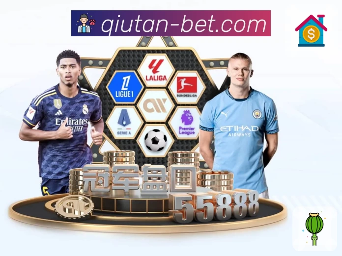 体育平台欢迎图